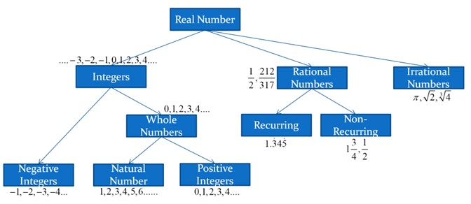 Real number system hierarchy chart